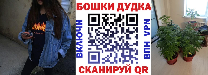 Где купить наркоту Сосновый Бор СОЛЬ  Меф мяу мяу  Канабис  КОКАИН 