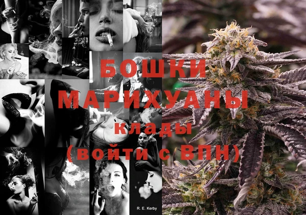 стаф Балахна