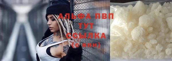 стаф Балахна