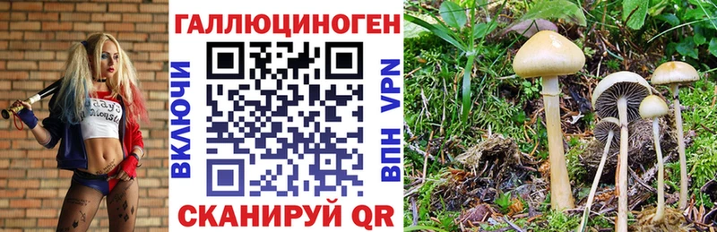 Псилоцибиновые грибы ЛСД  как найти наркотики  Сосновый Бор 