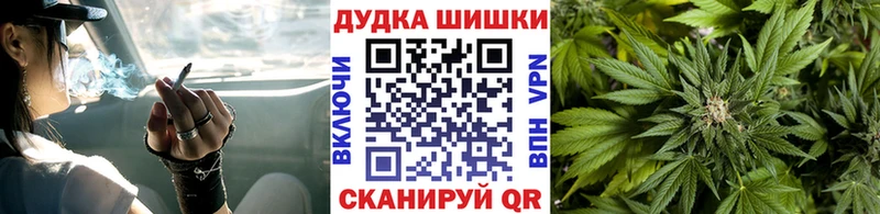 дарнет шоп  Сосновый Бор  Канабис Bruce Banner 
